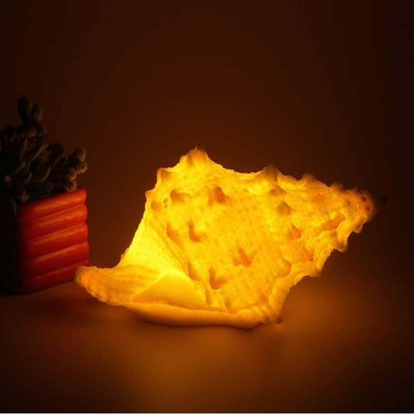 Coral shell night lIght. - Picture 7 of 7